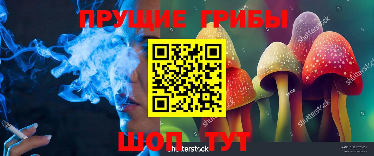 Галлюциногенные грибы MAGIC MUSHROOMS Железноводск