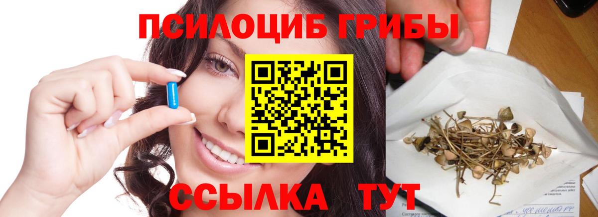 Псилоцибиновые грибы MAGIC MUSHROOMS  Вход с VPN  Железноводск  Галлюциногенные грибы мухоморы 
